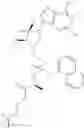 Fig. 167 - Substituted Purine Nucleosides, Phosphoramidate and Phosphordiamidate Derivatives for Treatment if Viral Infections
