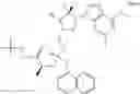 Fig. 197 - Substituted Purine Nucleosides, Phosphoramidate and Phosphordiamidate Derivatives for Treatment if Viral Infections