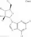 Fig. 200 - Substituted Purine Nucleosides, Phosphoramidate and Phosphordiamidate Derivatives for Treatment if Viral Infections
