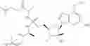 Fig. 37 - Substituted Purine Nucleosides, Phosphoramidate and Phosphordiamidate Derivatives for Treatment if Viral Infections