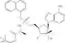Fig. 41 - Substituted Purine Nucleosides, Phosphoramidate and Phosphordiamidate Derivatives for Treatment if Viral Infections