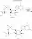 Fig. 57 - Substituted Purine Nucleosides, Phosphoramidate and Phosphordiamidate Derivatives for Treatment if Viral Infections