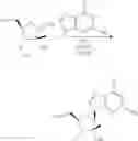 Fig. 69 - Substituted Purine Nucleosides, Phosphoramidate and Phosphordiamidate Derivatives for Treatment if Viral Infections