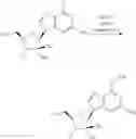Fig. 70 - Substituted Purine Nucleosides, Phosphoramidate and Phosphordiamidate Derivatives for Treatment if Viral Infections