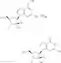 Fig. 71 - Substituted Purine Nucleosides, Phosphoramidate and Phosphordiamidate Derivatives for Treatment if Viral Infections