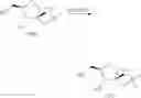 Fig. 94 - Substituted Purine Nucleosides, Phosphoramidate and Phosphordiamidate Derivatives for Treatment if Viral Infections