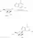 Fig. 98 - Substituted Purine Nucleosides, Phosphoramidate and Phosphordiamidate Derivatives for Treatment if Viral Infections
