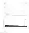 Fig. 02 - ANITMICROBIAL PEPTIDE PRODUCED BY INTESTINAL LACTOBACILLUS SALIVARIUS