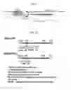 Fig. 02 - RECOMBINANT ADENOVIRUS COMPRISING TRANS-SPLICING RIBOZYME AND CANCER-TREATING GENE, AND USE THEREOF