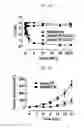 Fig. 03 - RECOMBINANT ADENOVIRUS COMPRISING TRANS-SPLICING RIBOZYME AND CANCER-TREATING GENE, AND USE THEREOF