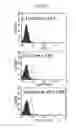 Fig. 08 - RECOMBINANT ADENOVIRUS COMPRISING TRANS-SPLICING RIBOZYME AND CANCER-TREATING GENE, AND USE THEREOF