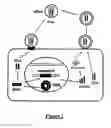 Fig. 03 - Transient expression vectors, preparation and uses thereof