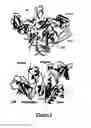 Fig. 06 - Transient expression vectors, preparation and uses thereof