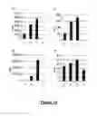 Fig. 12 - Transient expression vectors, preparation and uses thereof