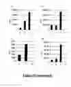 Fig. 13 - Transient expression vectors, preparation and uses thereof