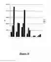 Fig. 22 - Transient expression vectors, preparation and uses thereof