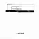 Fig. 24 - Transient expression vectors, preparation and uses thereof
