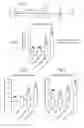 Fig. 02 - COMPOSITION FOR USE IN THE PROMOTION OF INTESTINAL ANGIOGENESIS AND OF NUTRIENT ABSORPTION AND OF ENTERAL FEEDING TOLERANCE AND/OR IN THE PREVENTION AND/OR TREATMENT OF INTESTINAL INFLAMMATION AND/OR IN THE RECOVERY AFTER INTESTINAL INJURY AND SURGERY