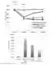Fig. 09 - Isolated discogenic cells, methods of using, and methods of preparing same from mammalian tissue