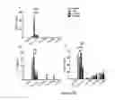 Fig. 16 - METHOD FOR TREATMENT OR PREVENTION OF ALLERGIC DISEASES