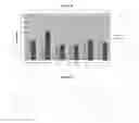 Fig. 23 - STABLE IGG4 BASED BINDING AGENT FORMULATIONS