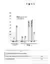 Fig. 08 - HUMANIZED ANTIBODIES THAT BIND TO CD19 AND THEIR USES