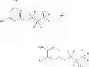 Fig. 53 - Cyclopropyl modulators of P2Y12 receptor
