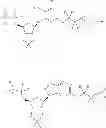 Fig. 63 - Cyclopropyl modulators of P2Y12 receptor