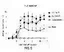 Fig. 06 - METHOD FOR PREPARING ANTIBODIES HAVING  IMPROVED PROPERTIES