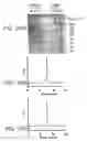 Fig. 45 - Methods for treating scleroderma by administering a soluble CTLA4 molecule