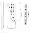 Fig. 65 - Methods for treating scleroderma by administering a soluble CTLA4 molecule