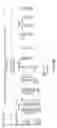 Fig. 82 - Methods for treating scleroderma by administering a soluble CTLA4 molecule