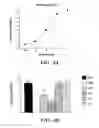Fig. 05 - METHOD OF ATTENUATING REACTIONS TO SKIN IRRITANTS