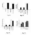 Fig. 03 - Inhibitors of metastasis, methods of generating such inhibitors and their therapeutic applications