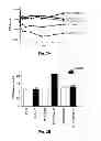 Fig. 04 - Inhibitors of metastasis, methods of generating such inhibitors and their therapeutic applications