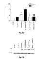 Fig. 05 - Inhibitors of metastasis, methods of generating such inhibitors and their therapeutic applications