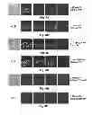 Fig. 07 - Inhibitors of metastasis, methods of generating such inhibitors and their therapeutic applications