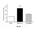 Fig. 09 - Inhibitors of metastasis, methods of generating such inhibitors and their therapeutic applications