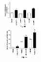 Fig. 16 - Inhibitors of metastasis, methods of generating such inhibitors and their therapeutic applications