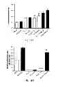 Fig. 18 - Inhibitors of metastasis, methods of generating such inhibitors and their therapeutic applications