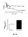 Fig. 23 - Inhibitors of metastasis, methods of generating such inhibitors and their therapeutic applications