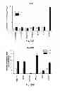 Fig. 43 - Inhibitors of metastasis, methods of generating such inhibitors and their therapeutic applications