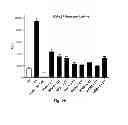 Fig. 45 - Inhibitors of metastasis, methods of generating such inhibitors and their therapeutic applications