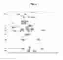 Fig. 06 - HEPCIDIN, HEPCIDIN ANTAGONISTS AND METHODS OF USE