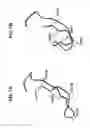 Fig. 08 - HEPCIDIN, HEPCIDIN ANTAGONISTS AND METHODS OF USE