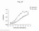 Fig. 29 - HEPCIDIN, HEPCIDIN ANTAGONISTS AND METHODS OF USE