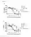 Fig. 22 - ANTIBODIES TO CD1d
