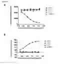 Fig. 28 - ANTIBODIES TO CD1d