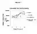 Fig. 28 - Methods of Treating Inflammatory Disorders Using Anti-M-CSF Antibodies