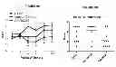 Fig. 30 - Methods of Treating Inflammatory Disorders Using Anti-M-CSF Antibodies